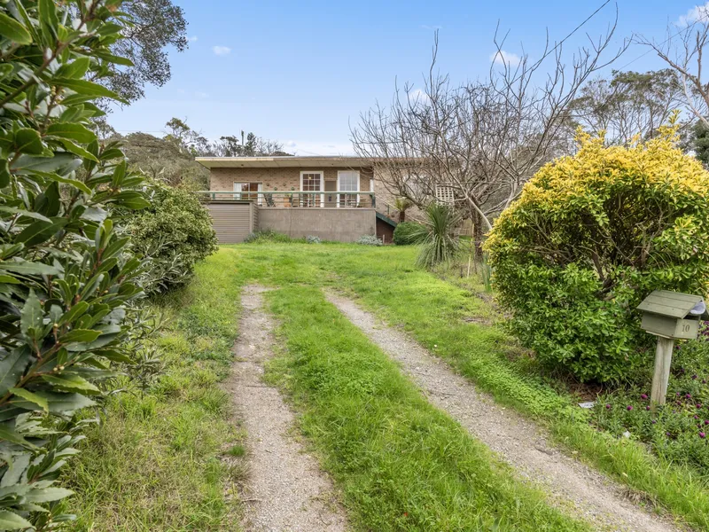 In need of love and attention or build the dream