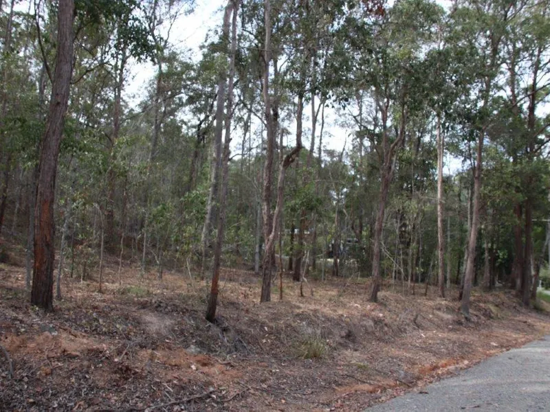 Natural Bushland