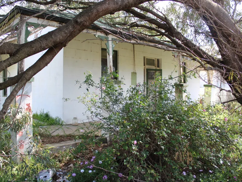 Knock me over or take on the extreme challenge of restoration