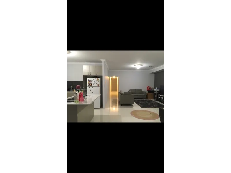 Huge family home or monster student rental 