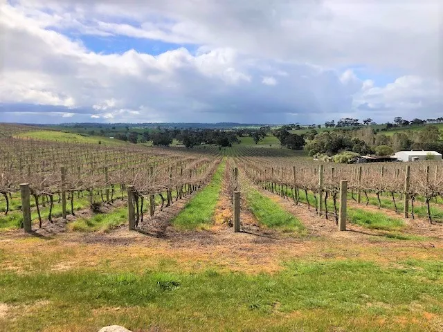 Lifestyle Property with Income!