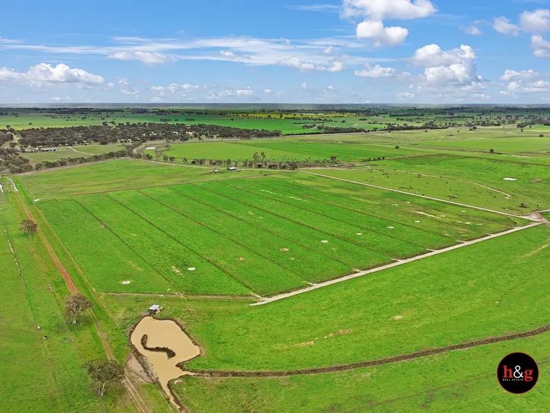 CONVENIENTLY LOCATED DAIRY FARM