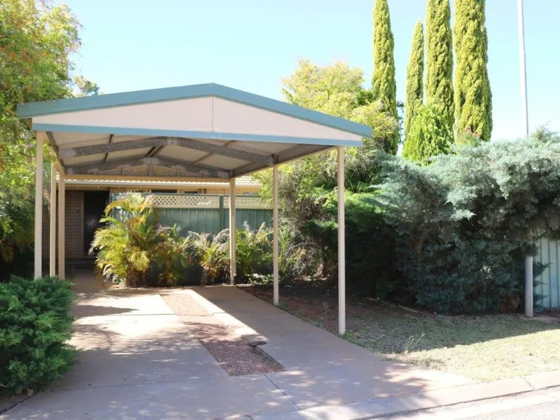 Investment Opportunity