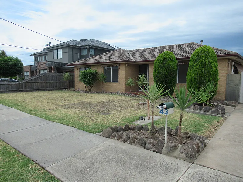 Neat and Tidy For the Family