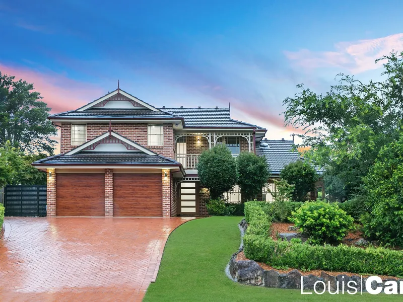 The Ultimate Entertainer