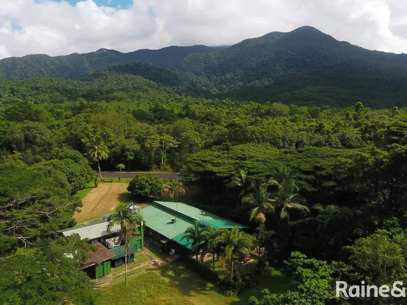 Spirits of Daintree