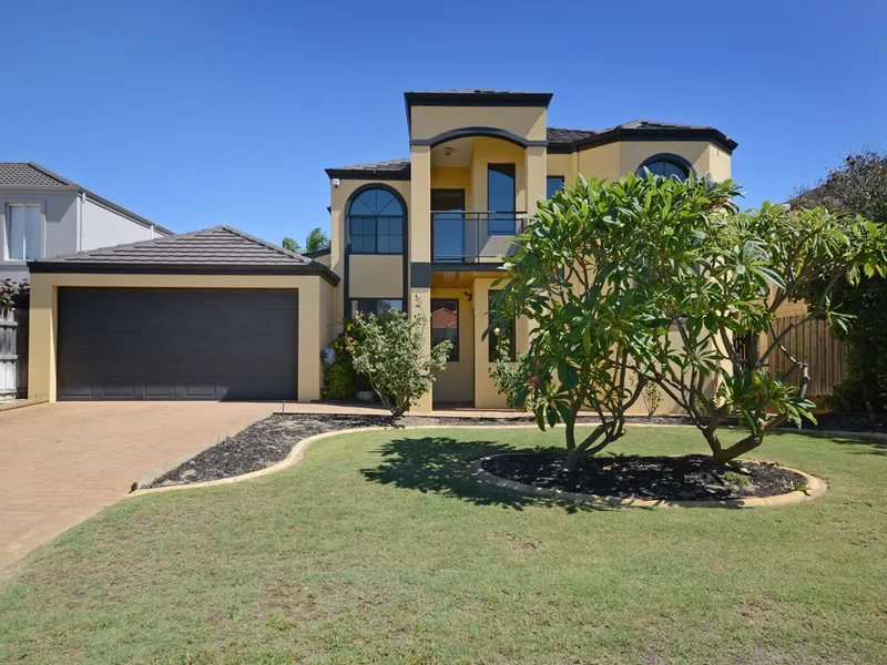 PERFECT FAMILY ENTERTAINER