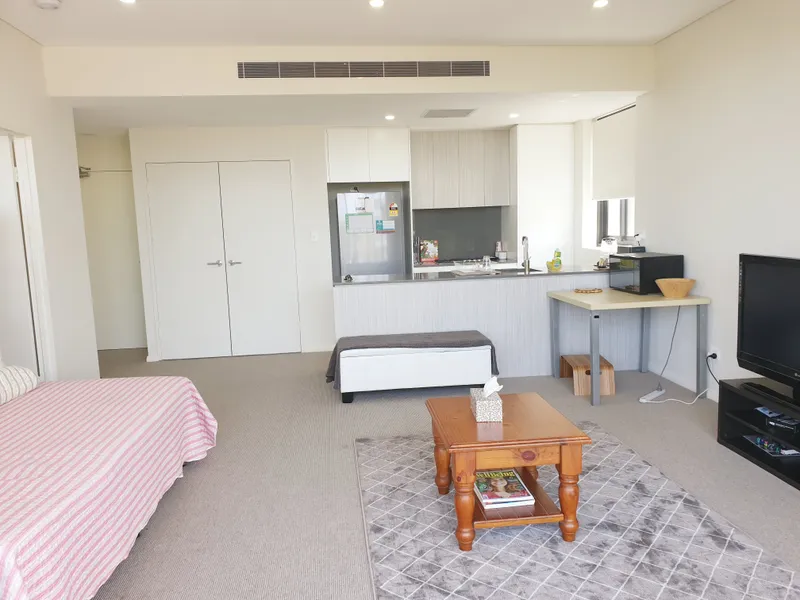 Modern 1 Bedroom Apartment