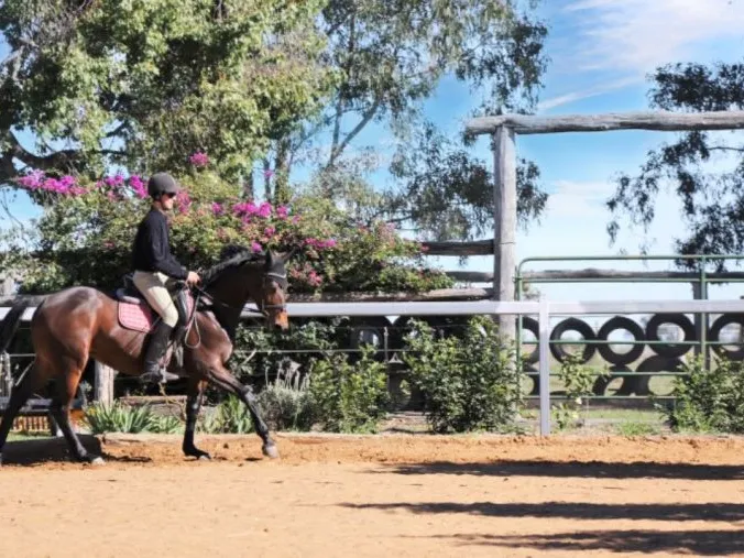30 ACRE SPECIALIST HORSE PROPERTY