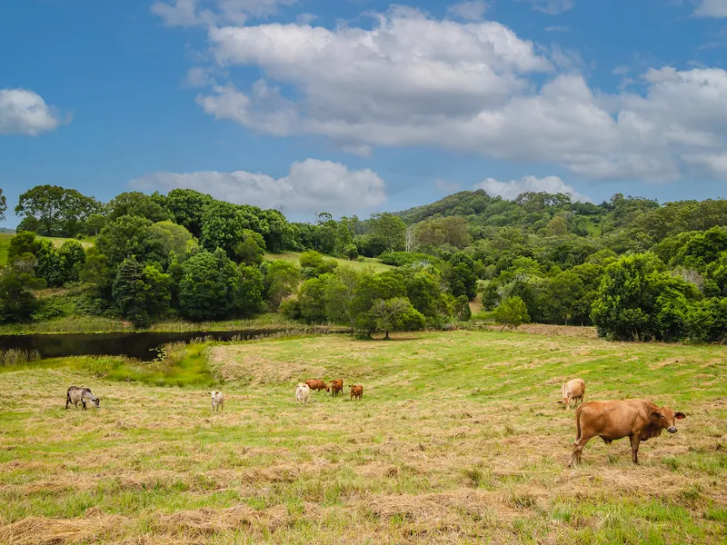 Stunningly Beautiful Acreage in Noosa Hinterland