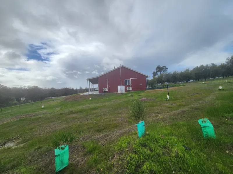3 Bedroom x 2 Bathroom House on 5 Acres