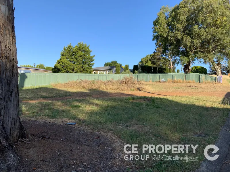 Your Opportunity to Build In Mt. Pleasant