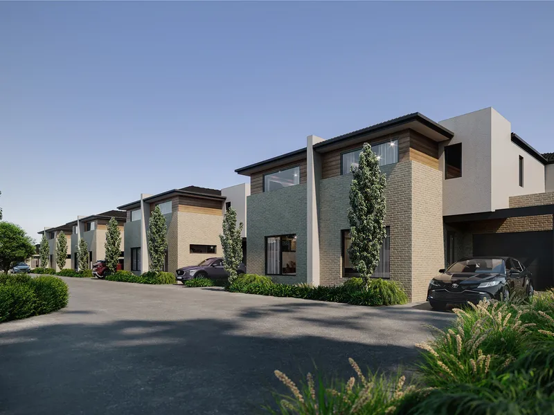 Expect More from Mora!