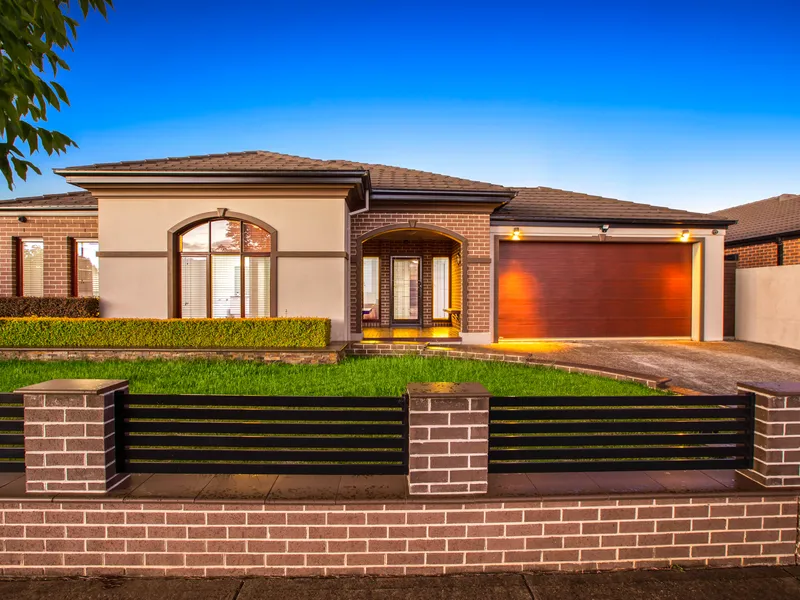 Stylish Entertainer!