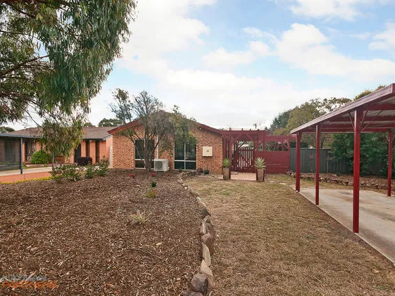 Entertainer's delight!