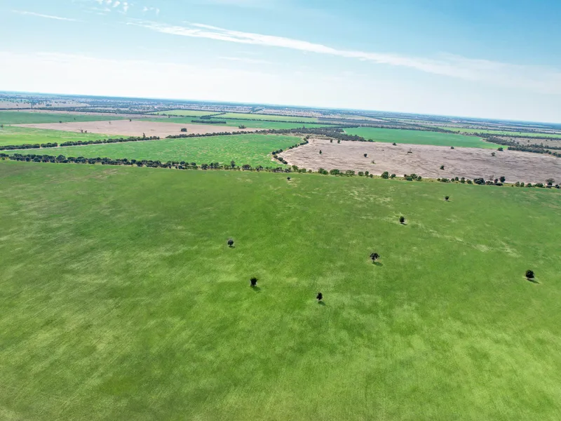 Western Down, Grazing & Cultivation Property