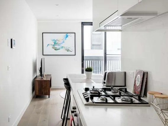 Fully Furnished One-Bedroom One-Bathroom apartment @Chole Building