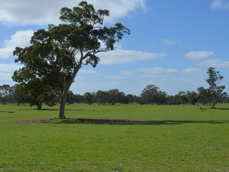 Cattle, Sheep or Hay Production Property - The Gap