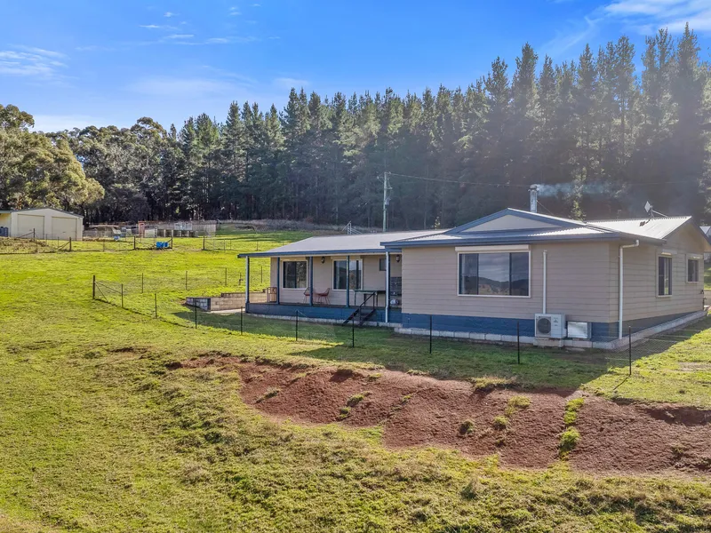 Ultimate Lifestyle Block Just 30 Miutes From Town
