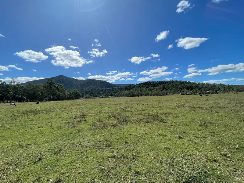 ONLINE AUCTION Whitsunday Acreage Owners want it sold