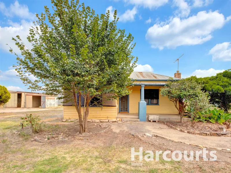 Great Starter in the Gourmet Region