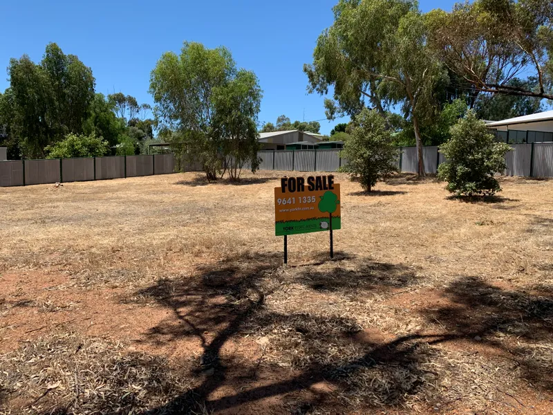 Lovely Elevated 1000m2 Block