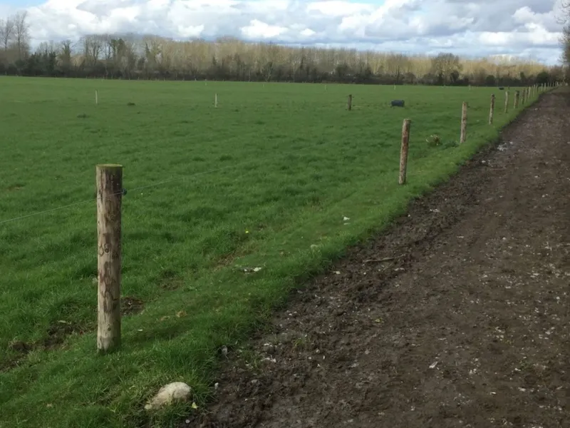 BJ Bennett & Co Real Estate Pty Ltd