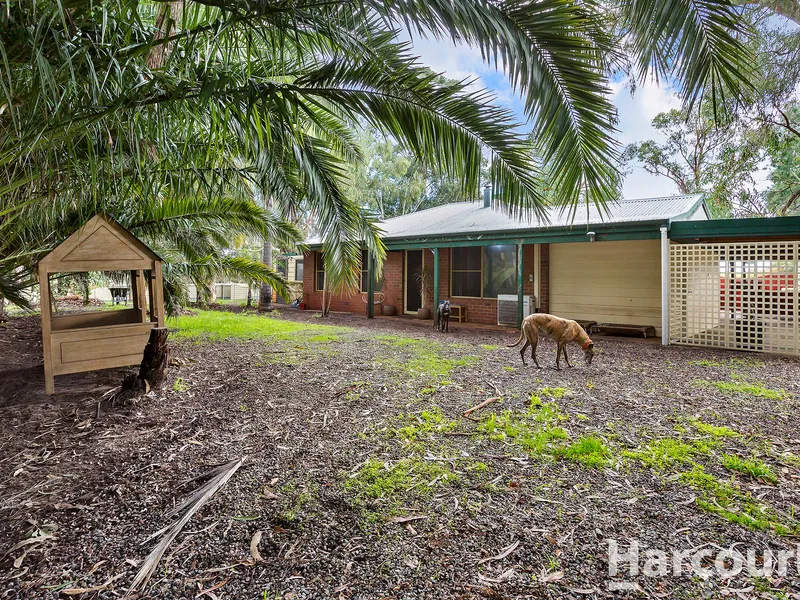 Sensational Acreage Living - Zoned for Dog Use
