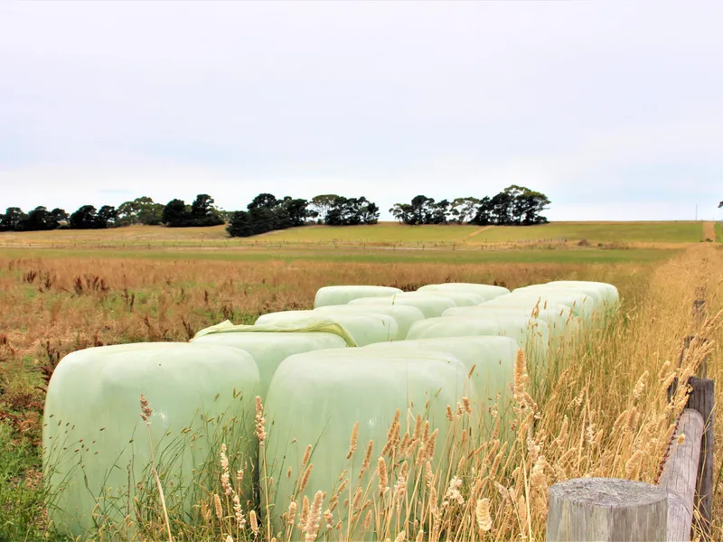 EXCELLENT COLAC-BEEAC DISTRICT COUNTRY