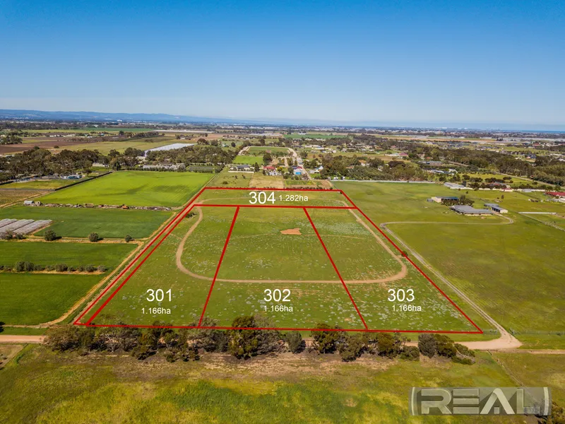 A Rare and Exclusive Release of 4 Allotments