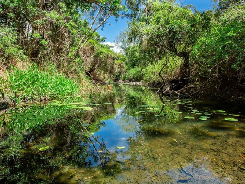 11 Acre Picturesque Block With Creek