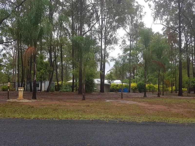 Beautiful forest setting