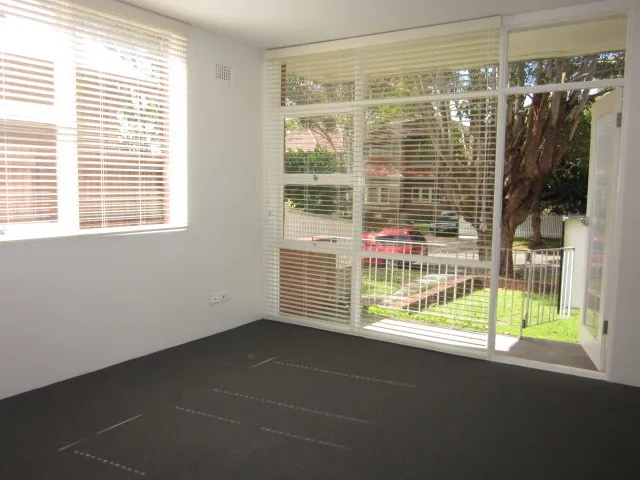 Peaceful quiet sunlit apartment