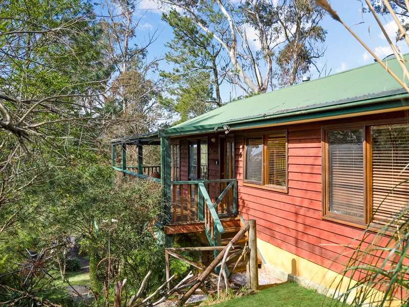 Cozy and Inviting Home Amongst the Trees