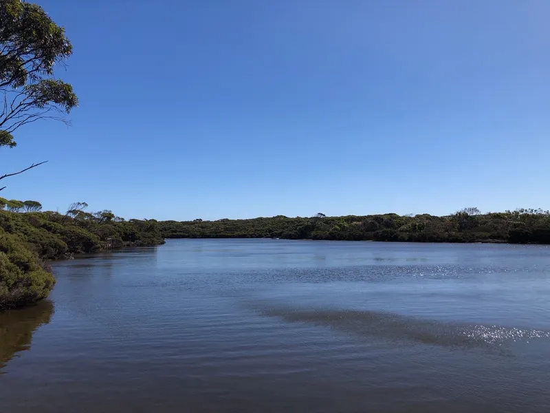 Take me to the River!