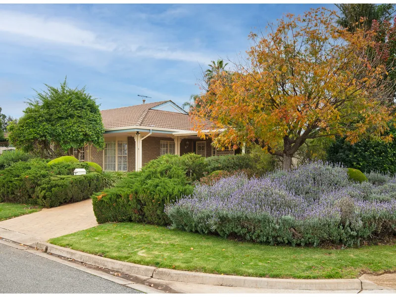 A pleasant northerly aspect home on a quiet picturesque no-through road near Linear Park.