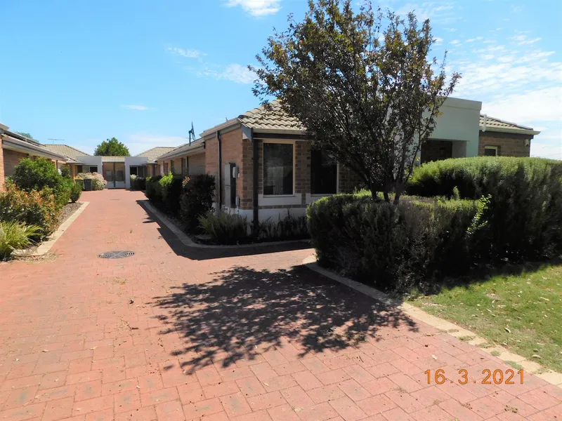 Light Filled, Hidden Oasis Home, Lock Up & Leave