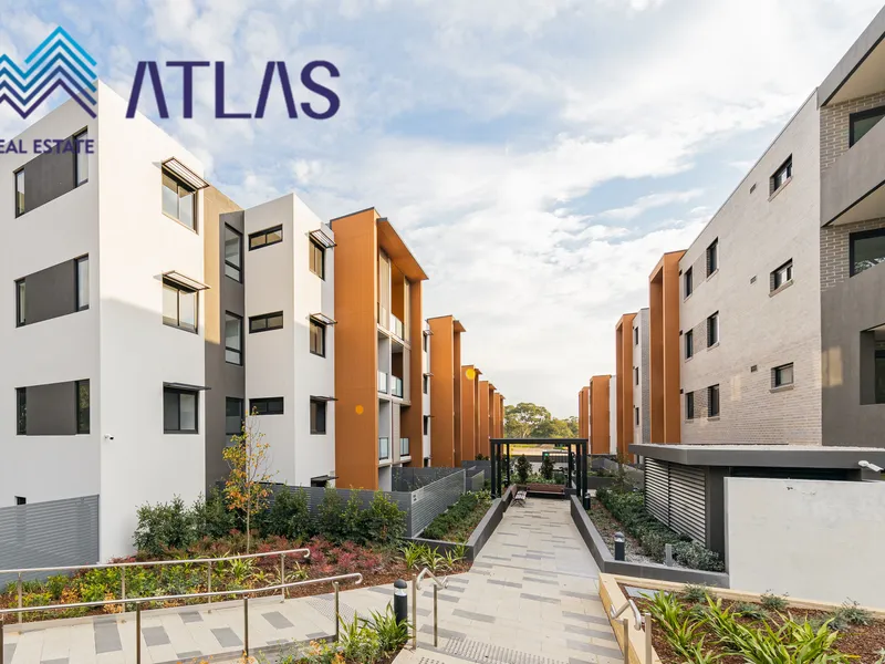 Spacious Two Bedroom plus Study Room with 70 Sqm Courtyard and Two Caspaces  Pets Friendly!