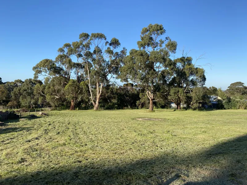 Rare Gem on Birregurra Hill