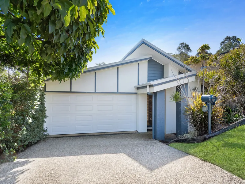 Natural Bush Outlook