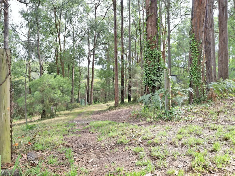 LAND, GLORIOUS LAND- approx HALF AN ACRE OFF IT( 2090m2) 