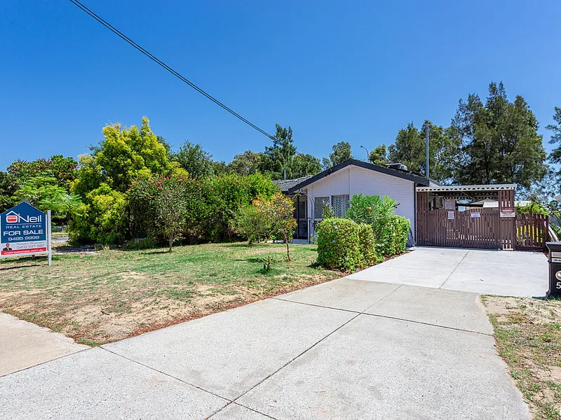 BRIGHT and DELIGHTFUL