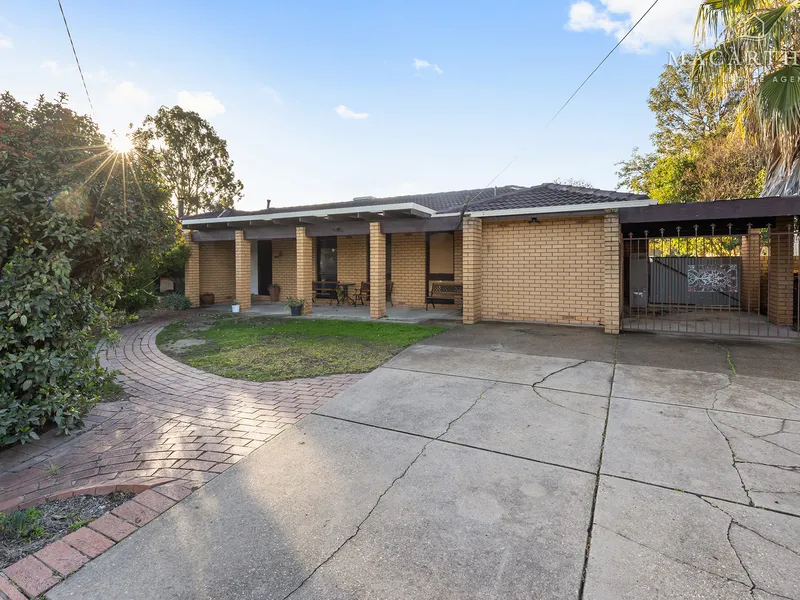 A Dream Project for Renovators