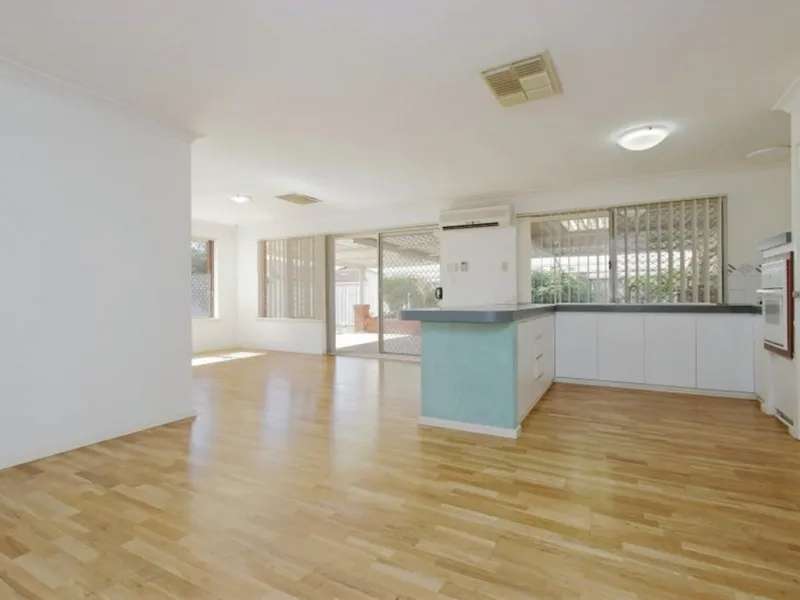 Super-Sized and Super Priced - Perfect for Pets...