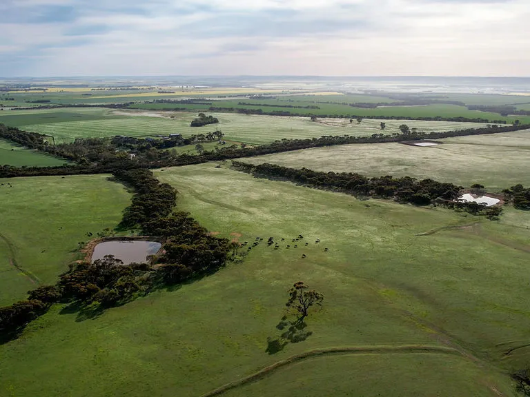 THE GAP - Cropping / Grazing