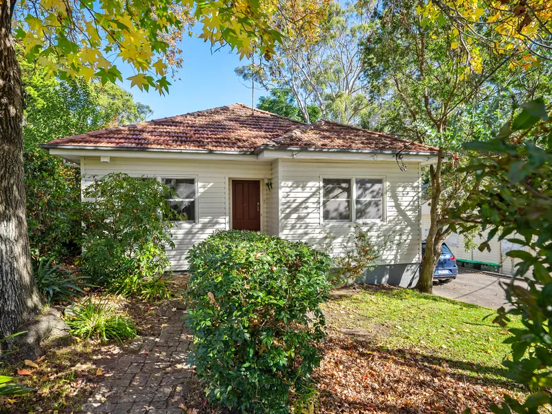 Location and Character Opportunity Awaits