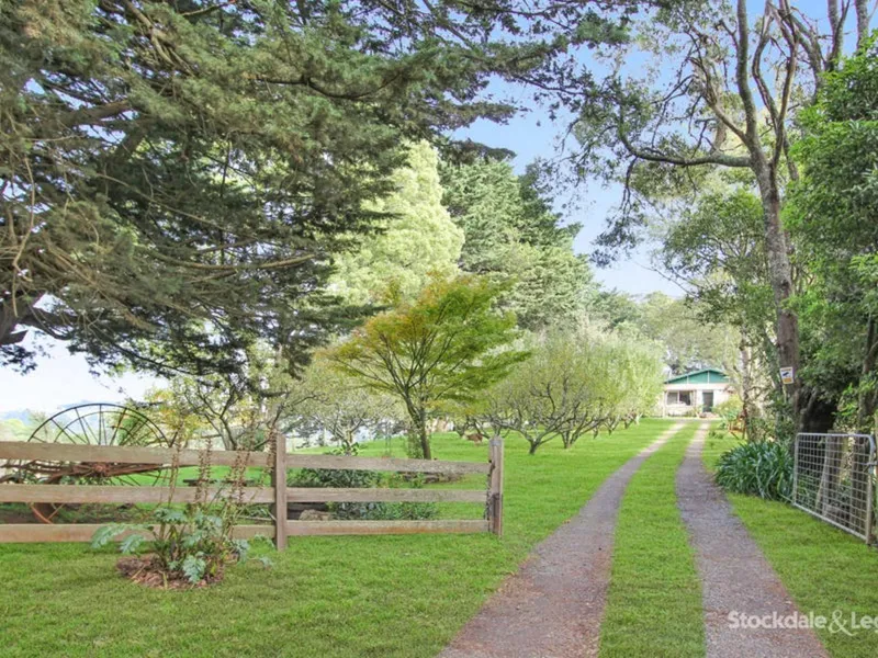 ESCAPE TO THE COUNTRY