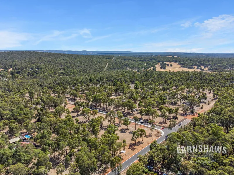 Forge Your Future At The Quarters