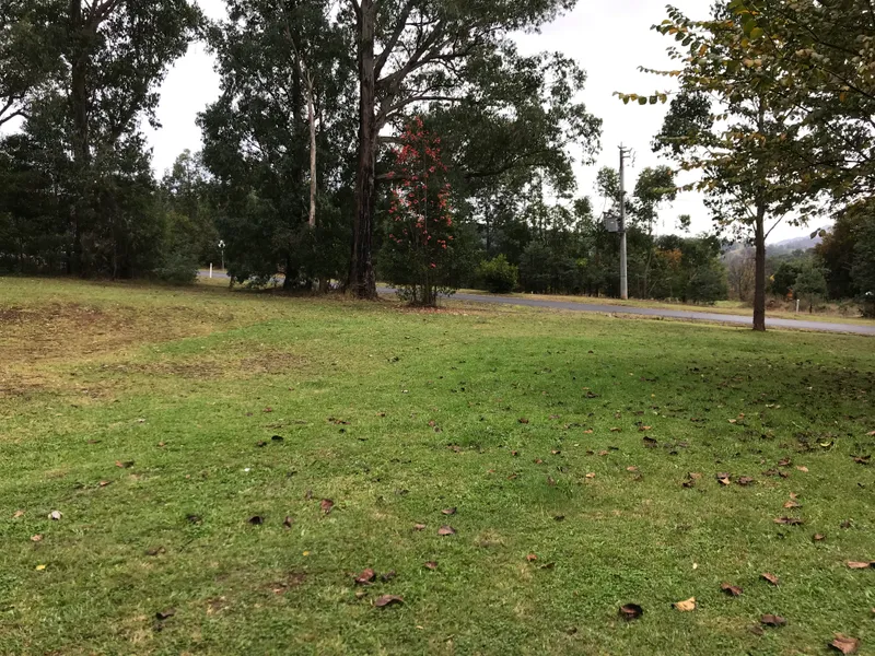 Corner block 1040sqm handy to town.