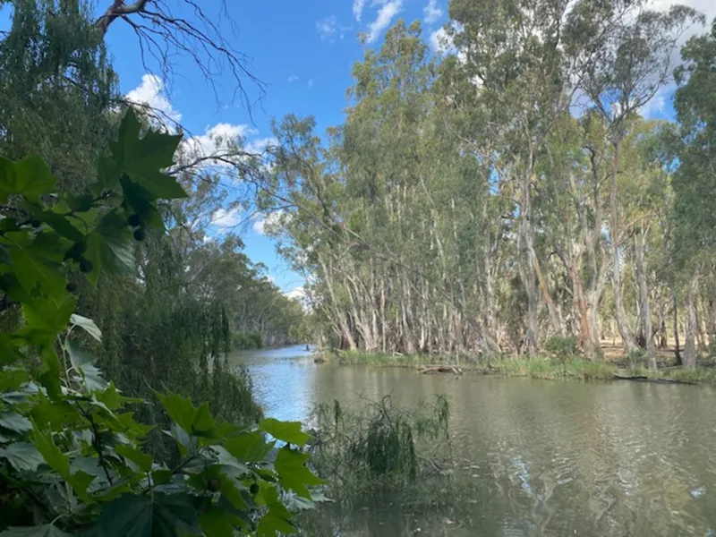 Koondrook-Gunbower Creek Frontage